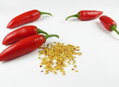 Jalapeno chilli vetőmag