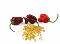 Carolina Reaper Red vetőmag