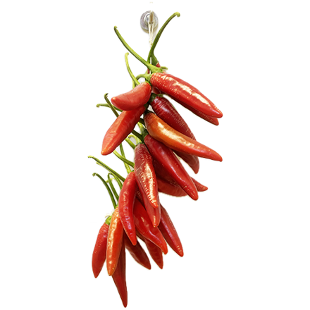 Chilli füzér 24x chilli Bird’s eye 15cm