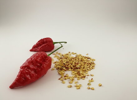 Naga Morich red vetőmag