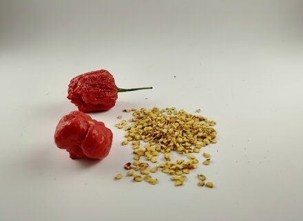 Trinidad Scorpion Red vetőmag