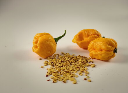 Trinidad Scorpion Yellow vetőmag 