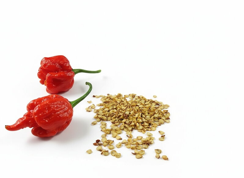 Dragons Breath vetőmag