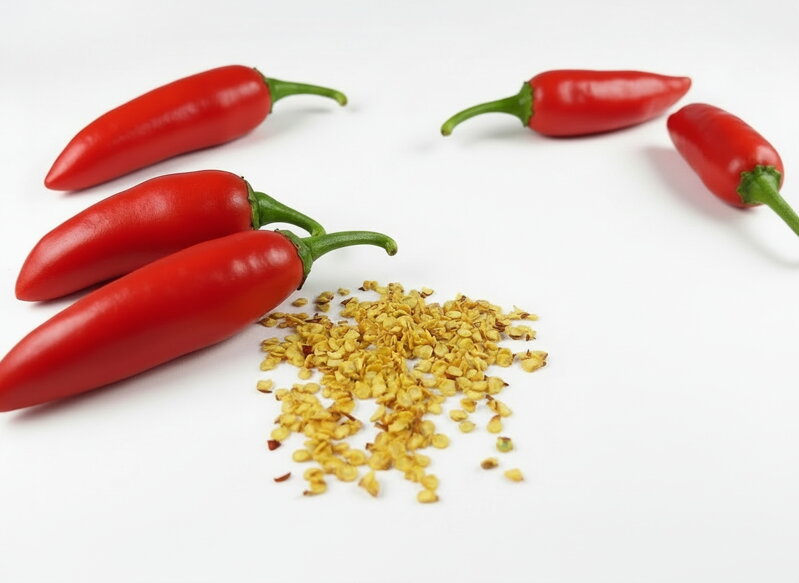 Jalapeno chilli vetőmag